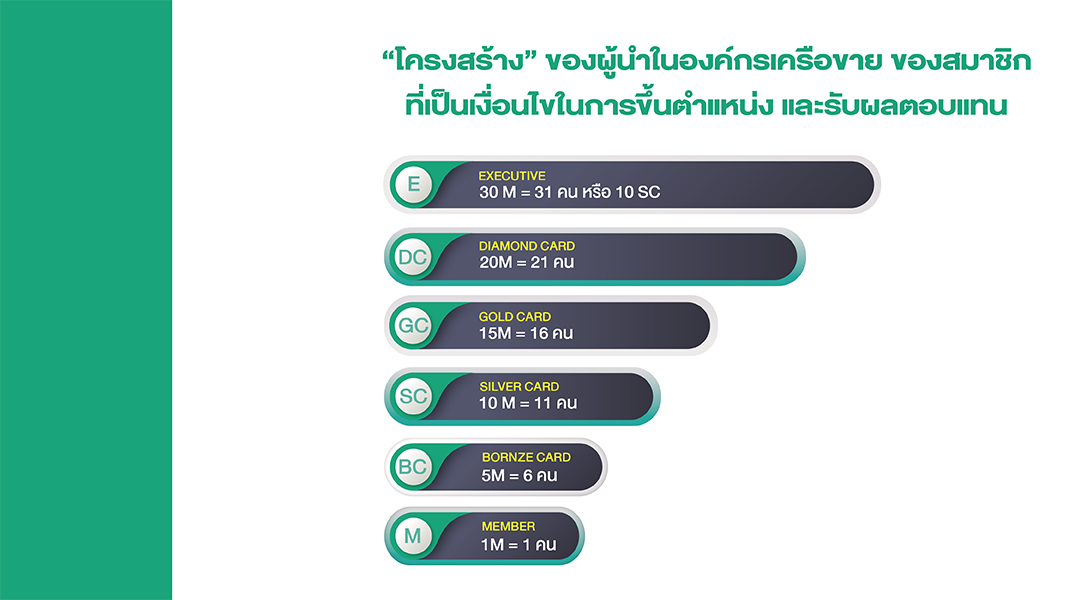 โครงสร้างแผนธุรกิจ