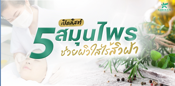 5 สมุนไพรช่วยให้ผิวไสไร้สิวฝ้า