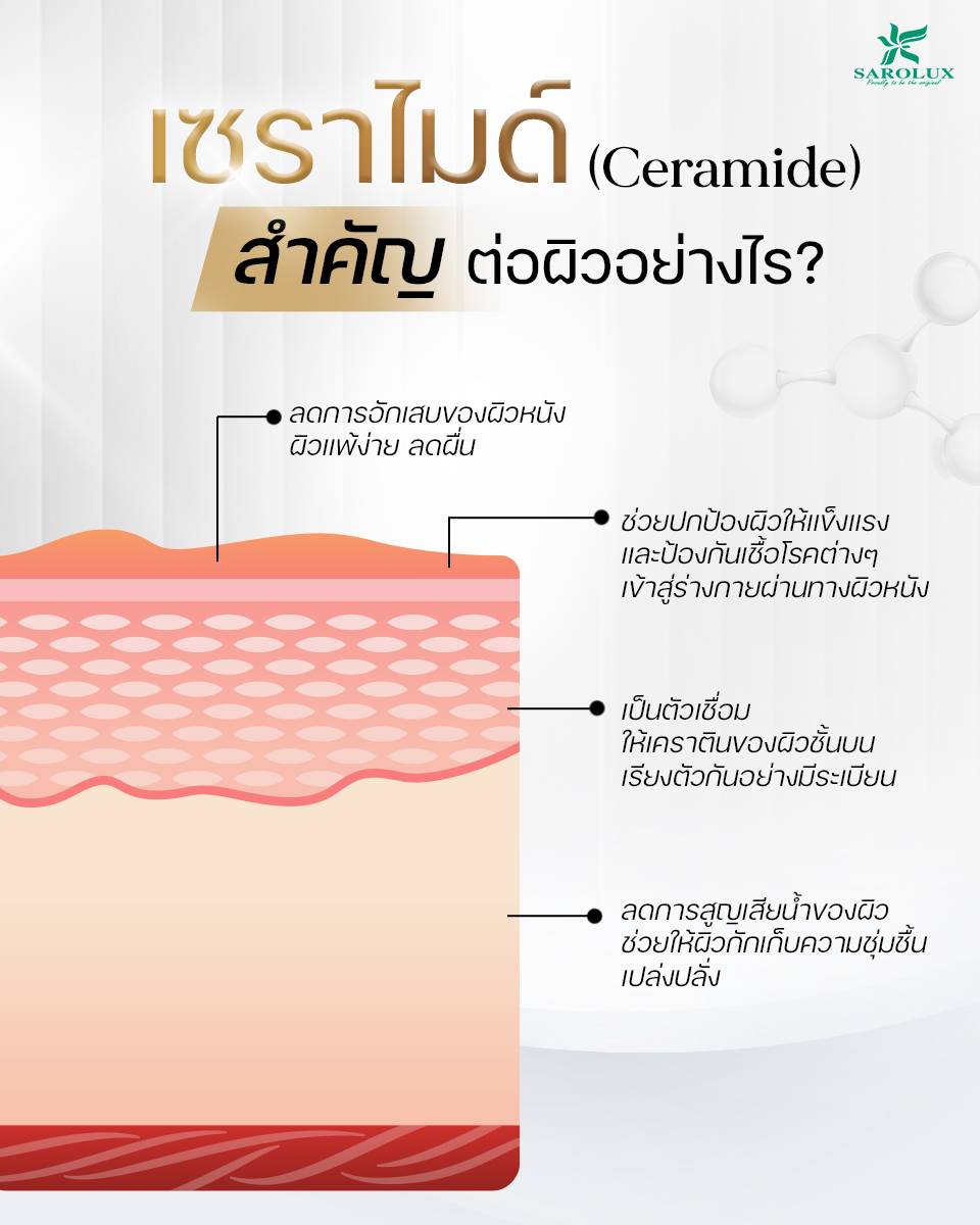 เซราไมด์ (Ceramide) สำคัญต่อผิวเรายังไงบ้าง?